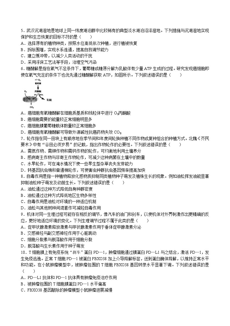 湖北省武汉市武昌区2022-2023学年高三下学期5月质量检测生物试卷Word版含答案02