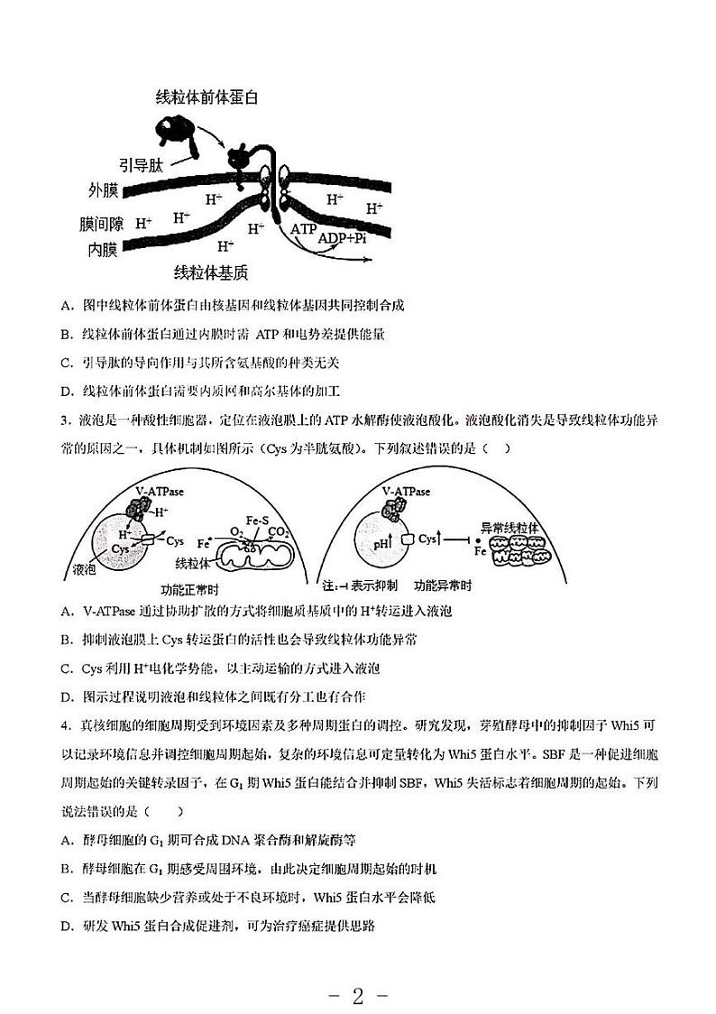 2023年生物高考押题预测卷1（山东卷）第2页