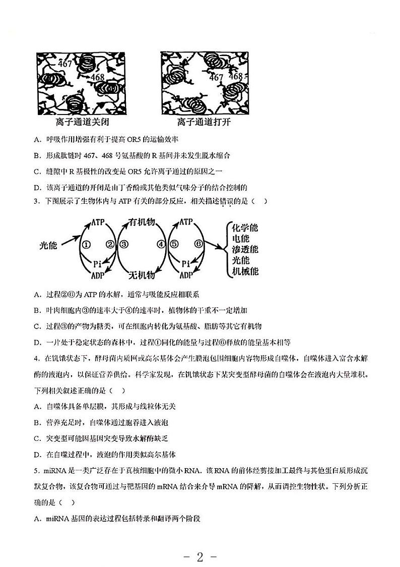 2023年生物高考押题预测卷2（山东卷）第2页