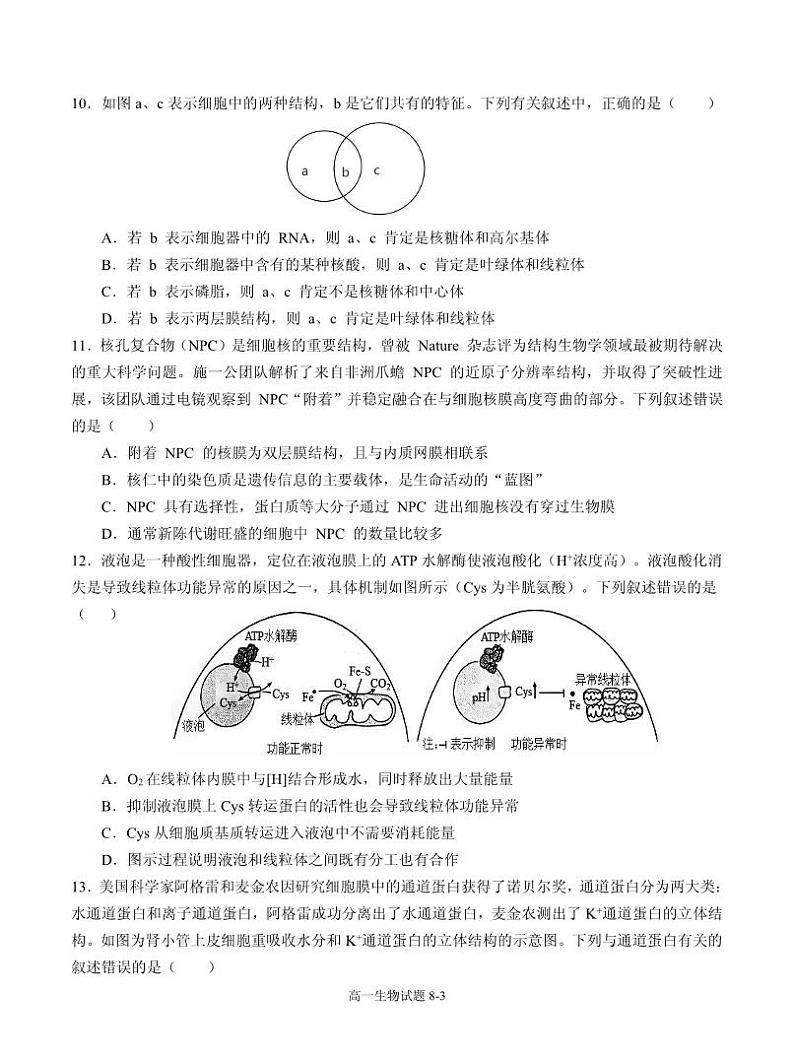 2022-2023学年湖北省十堰市部分重点中学高一下学期3月联考试题 生物 PDF版03