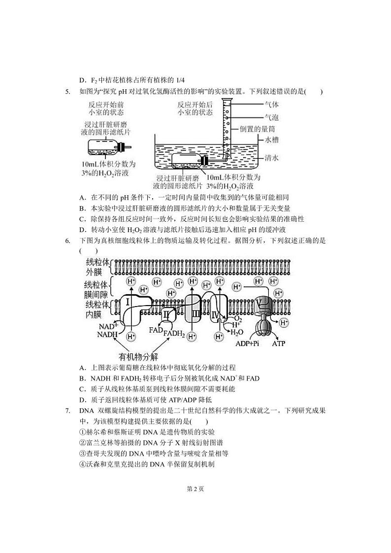2023届湖南省岳阳市华容县高三下学期普通高中新高考适应性考试生物学试题（PDF版）第2页