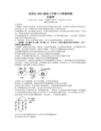 2021届湖北省武汉市武昌区高三下学期5月质量检测生物试题 PDF版