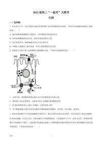 2022届湖南省部分学校高三下学期“一起考”大联考生物试题 PDF版