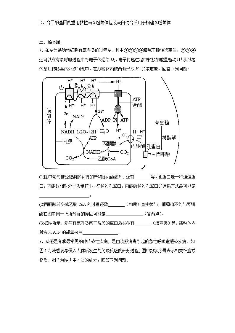 2023届安徽省安庆市二中高三下学期模拟考试理综生物试题（含答案）03