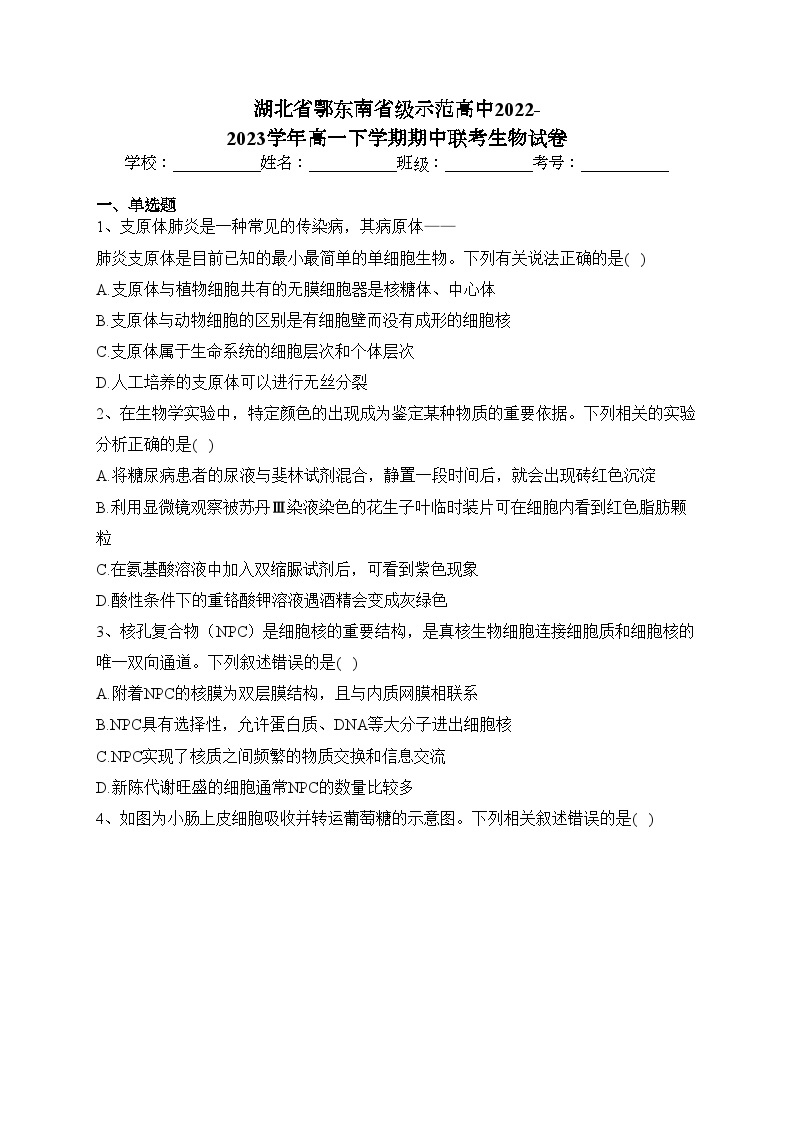湖北省鄂东南省级示范高中2022-2023学年高一下学期期中联考生物试卷（含答案）01