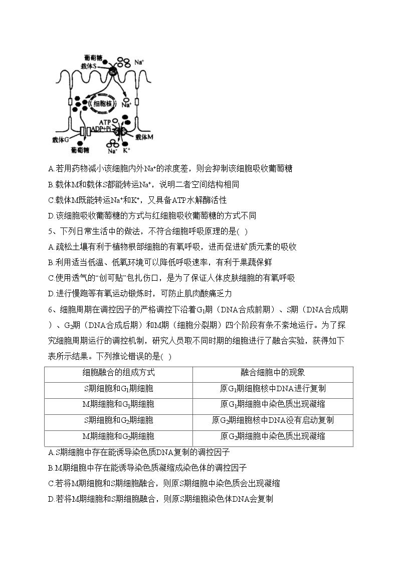 湖北省鄂东南省级示范高中2022-2023学年高一下学期期中联考生物试卷（含答案）02