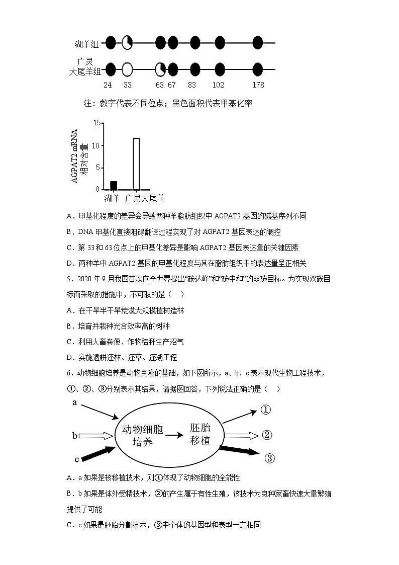 2023届安徽省六安市舒城中学高三仿真模拟卷（二）理综生物试题（含答案）02