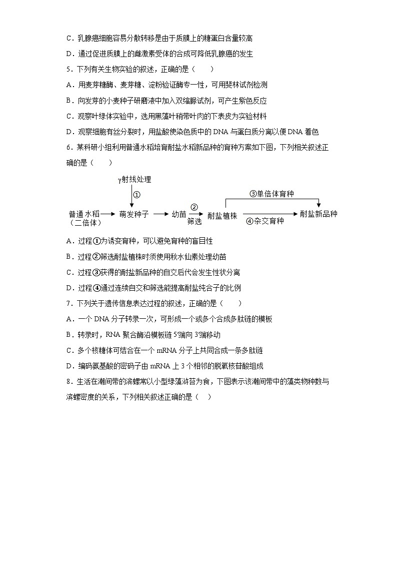 2023届江苏盐城市伍佑中学高三仿真模拟考试生物试题（含答案）02