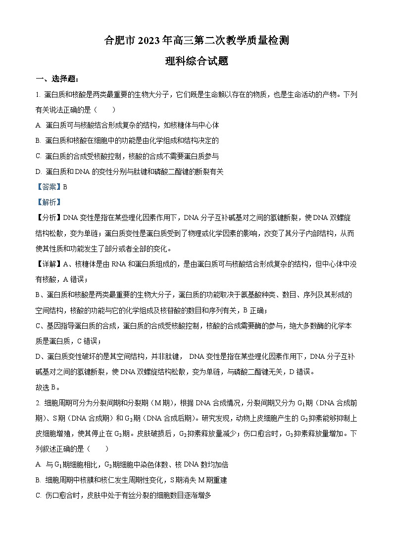 2023届安徽省合肥市高三第二次教学质量检测理综生物试题 Word版含解析01