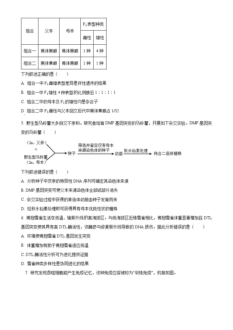 北京市朝阳区2023届高三二模生物试题  Word版无答案第2页