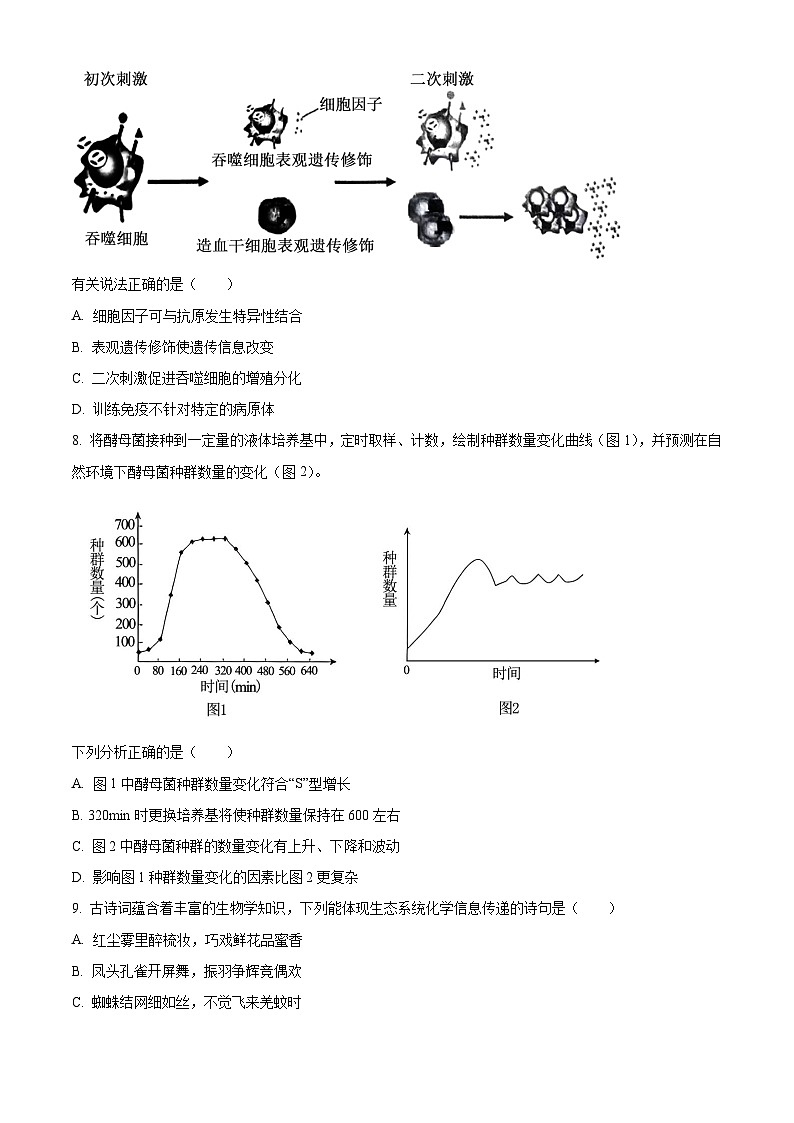 北京市朝阳区2023届高三二模生物试题  Word版无答案第3页