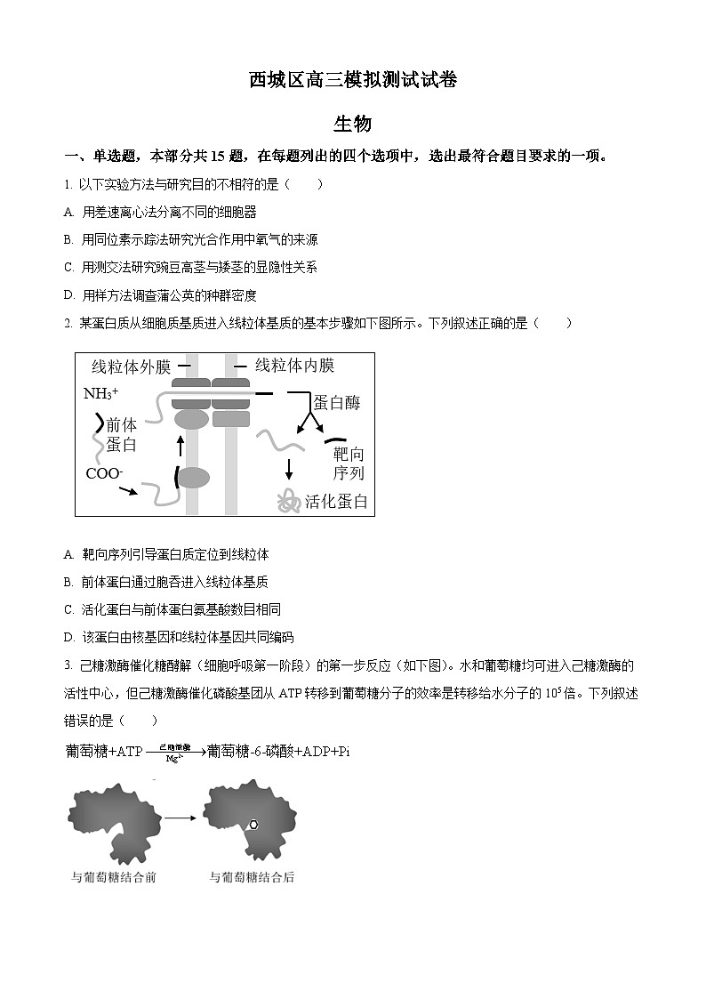 北京市西城区2023届高三二模生物试题  Word版无答案第1页
