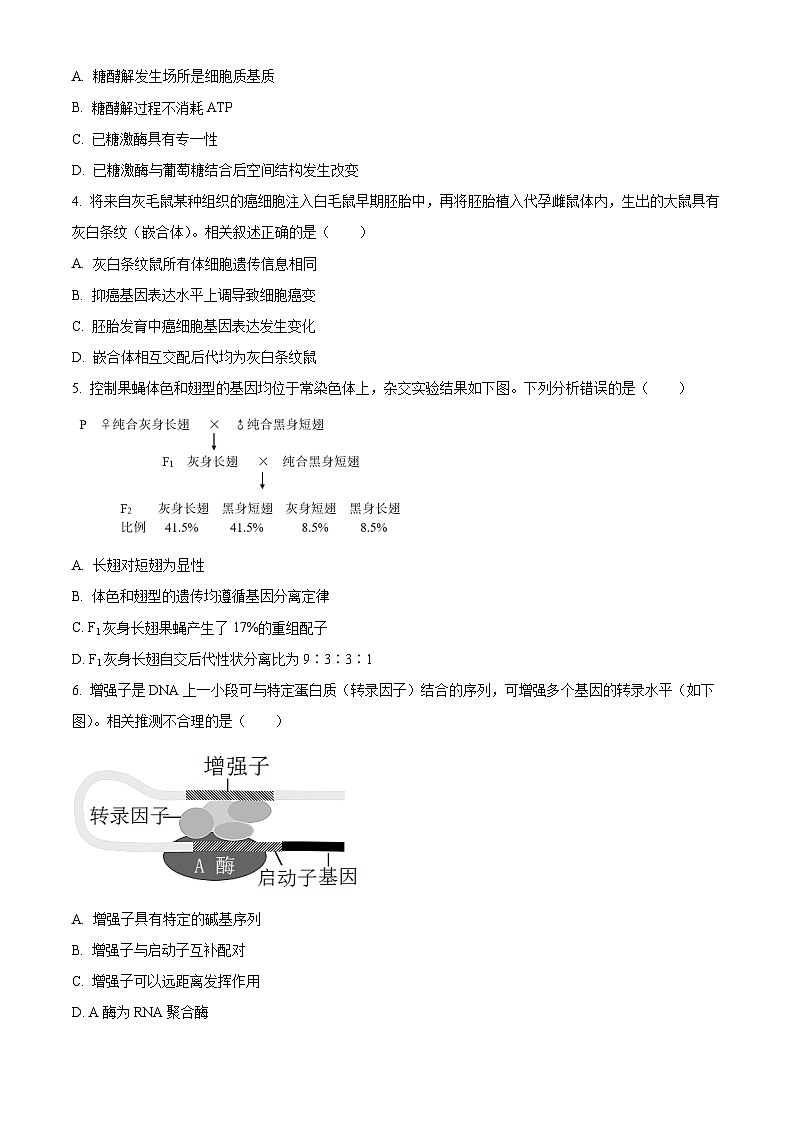 北京市西城区2023届高三二模生物试题  Word版无答案第2页