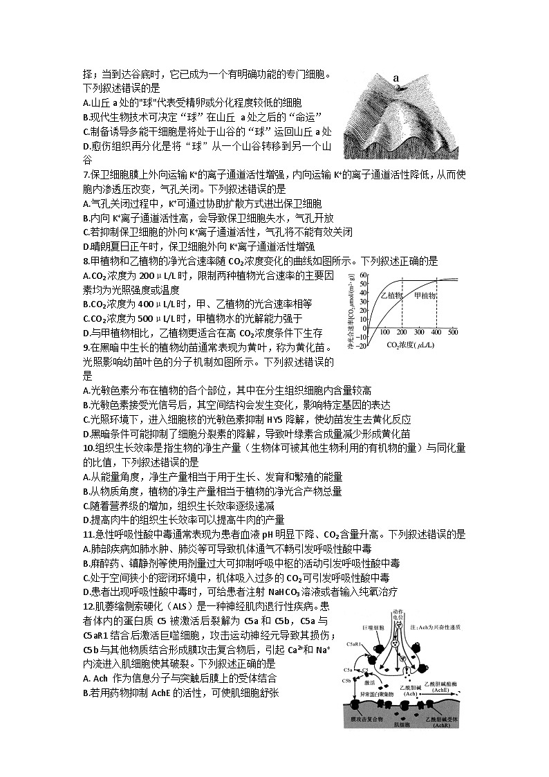 2023届湖北省武汉市高三下学期四月调研考试生物试卷（有答）第2页
