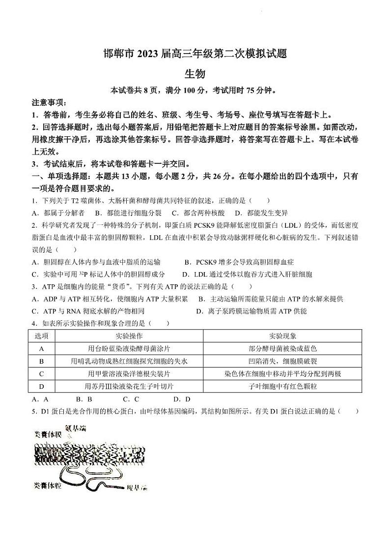 邯郸市2023届高三年级第二次模拟试题 生物01