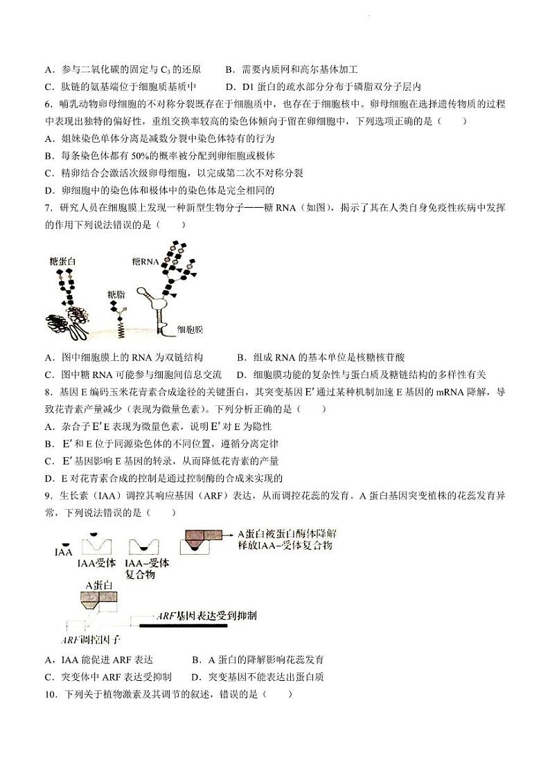 邯郸市2023届高三年级第二次模拟试题 生物02