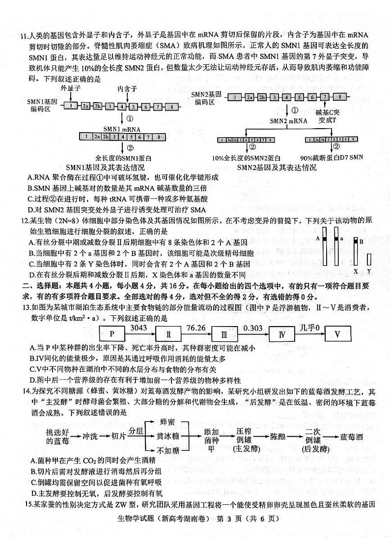 2023届湖南省高三名校联盟3月联考生物试卷附答案03