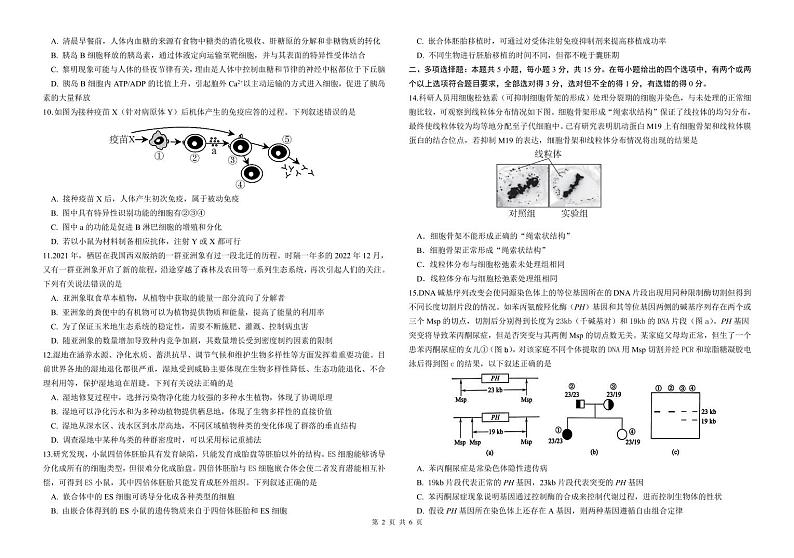 2023届河北省邯郸市高三三模保温卷 生物第2页