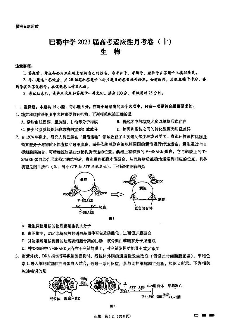 重庆巴蜀中学2023届高考适应性月考卷（十）生物第1页
