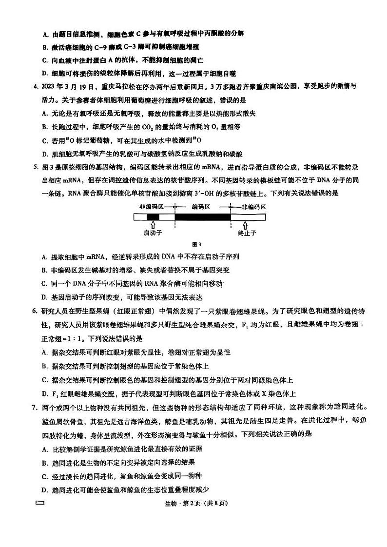 重庆巴蜀中学2023届高考适应性月考卷（十）生物第2页