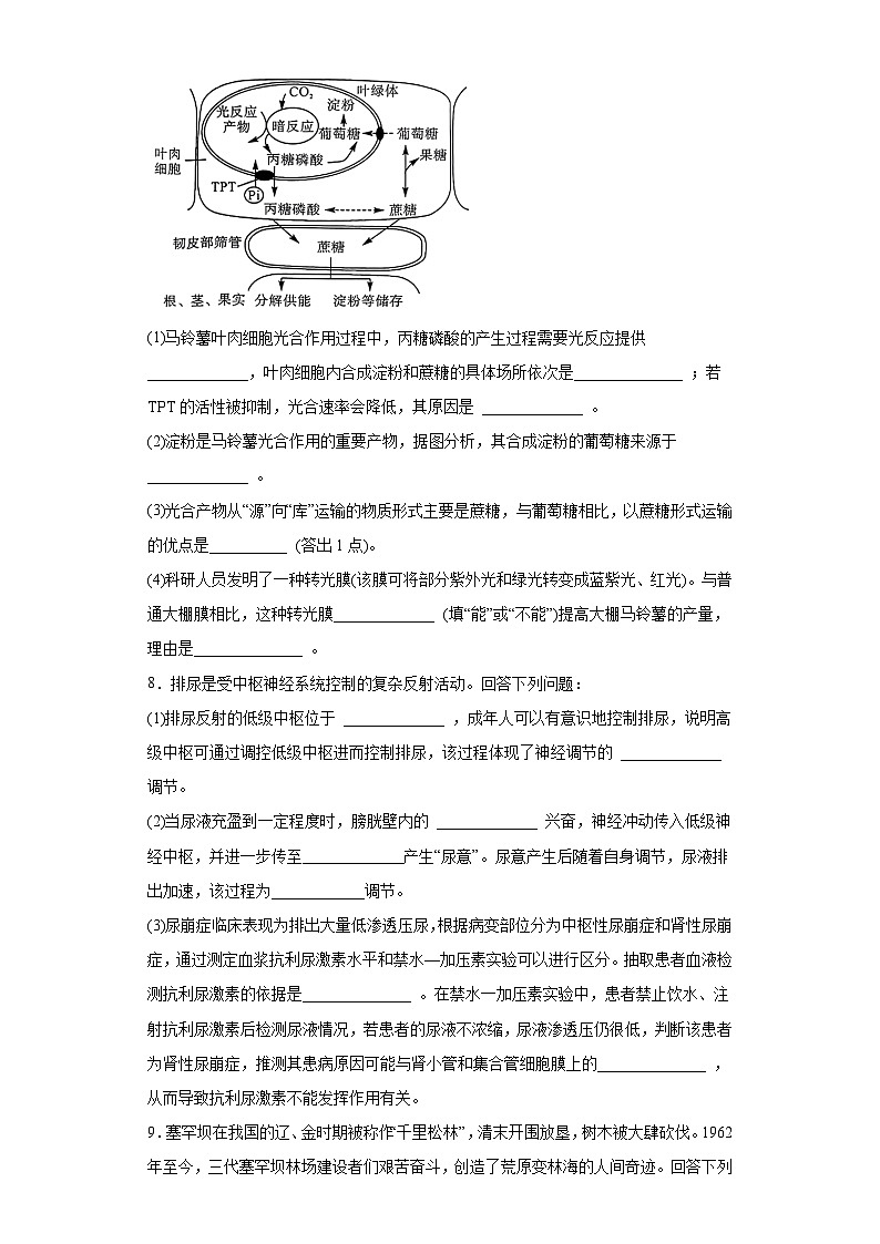 2023届河南省新未来名校联盟高三5月联考理科综合生物试题（无答案）03