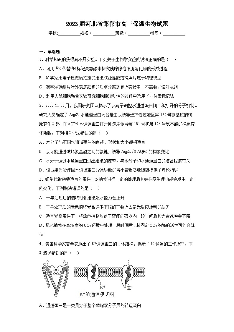 2023届河北省邯郸市高三保温生物试题（含解析）第1页