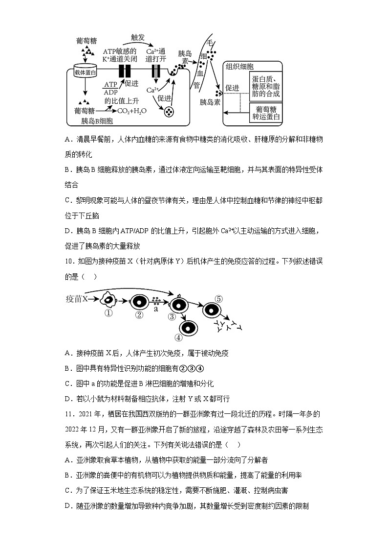 2023届河北省邯郸市高三保温生物试题（含解析）第3页