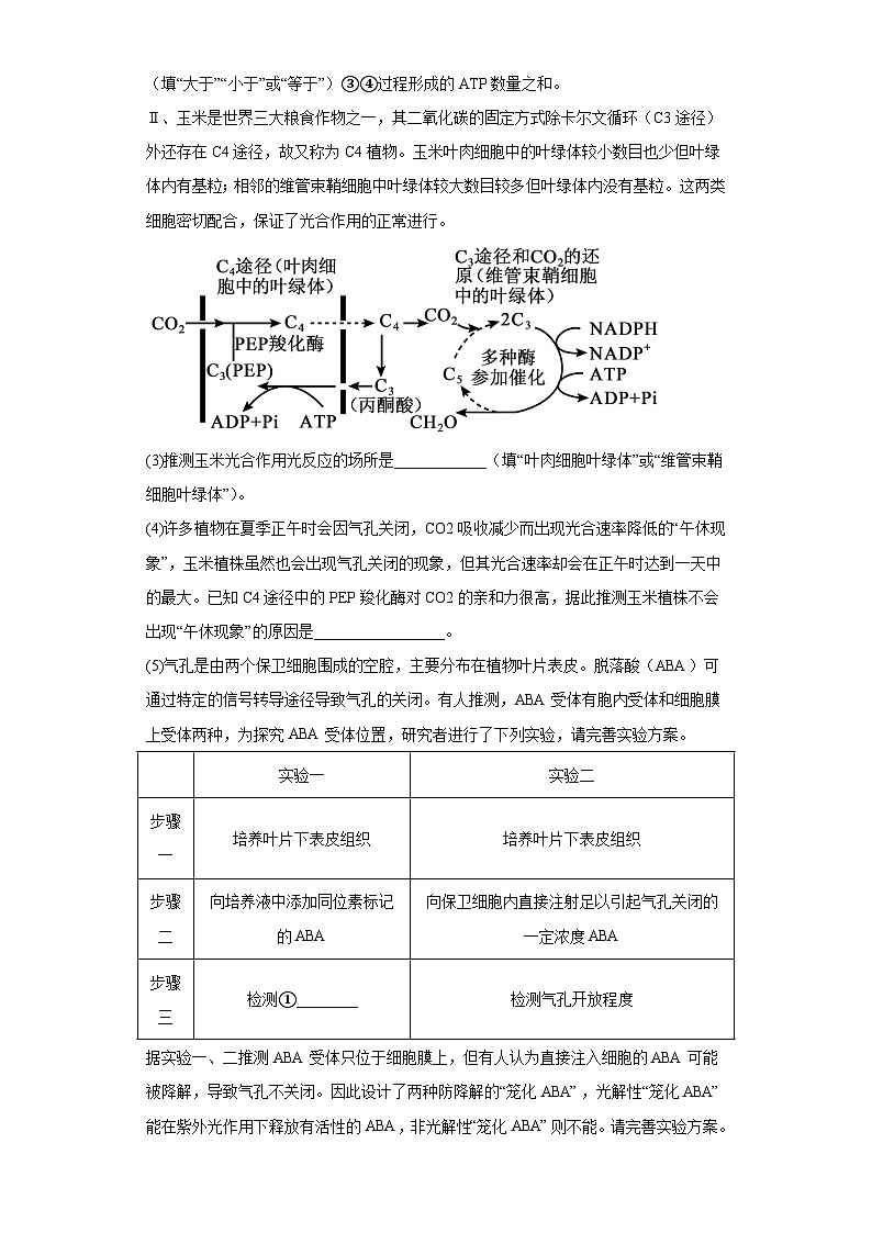 2023届陕西省咸阳市高三五月临考理综生物试题（无答案）第3页