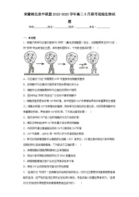 安徽皖北县中联盟2022-2023学年高三5月联考理综生物试题（含解析）