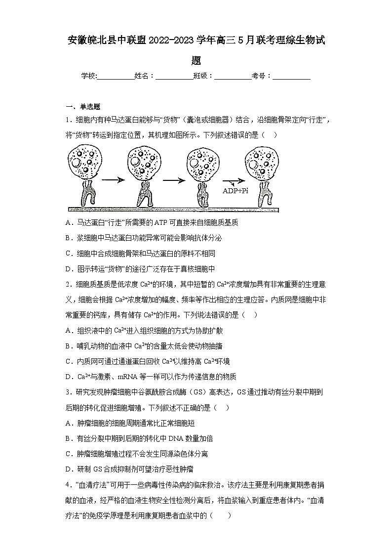 安徽皖北县中联盟2022-2023学年高三5月联考理综生物试题（含解析）第1页