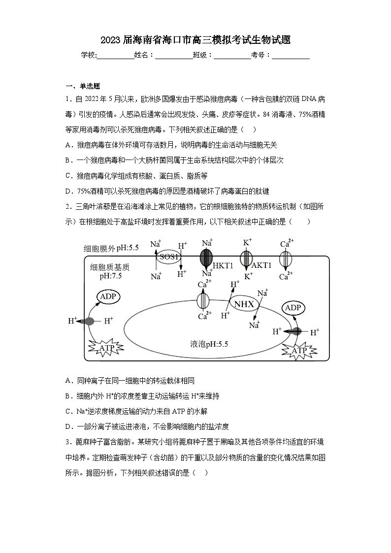 2023届海南省海口市高三模拟考试生物试题（无答案）01