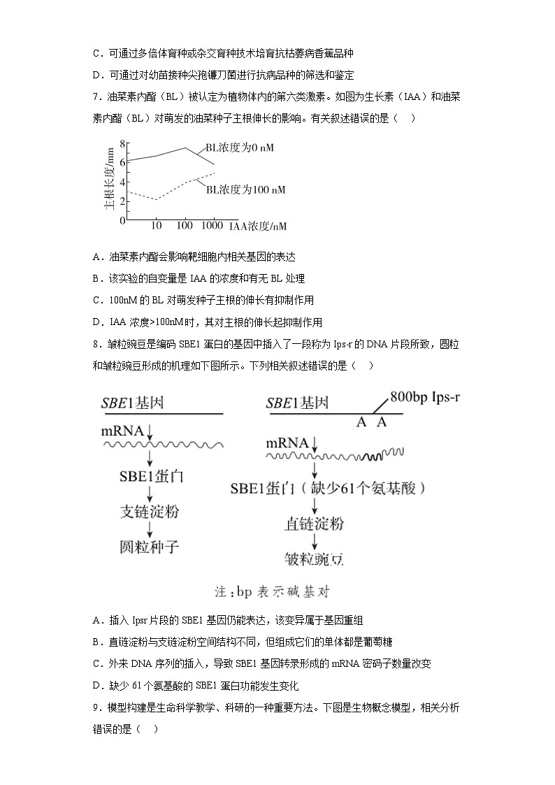 2023届海南省海口市高三模拟考试生物试题（无答案）03