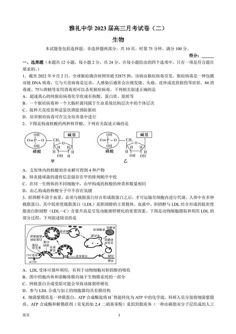 2023届湖南省长沙市雅礼中学高三上学期月考（二）生物试卷（PDF版）01