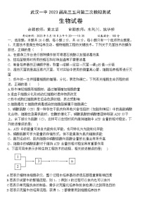 湖北省武汉市第一中学2022—2023学年高三下学期5月模拟测试生物试题 附答案