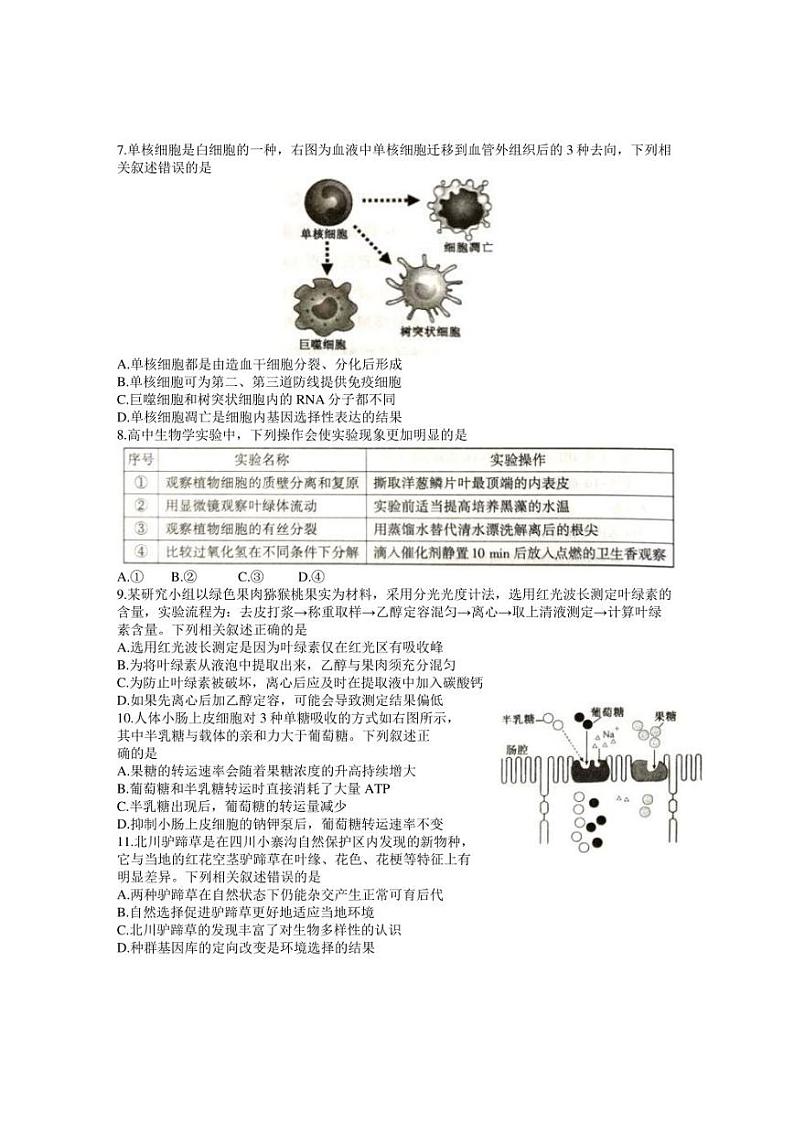 江苏省2021年新高考第二次适应性考试（4月）生物试题（word含答案）02