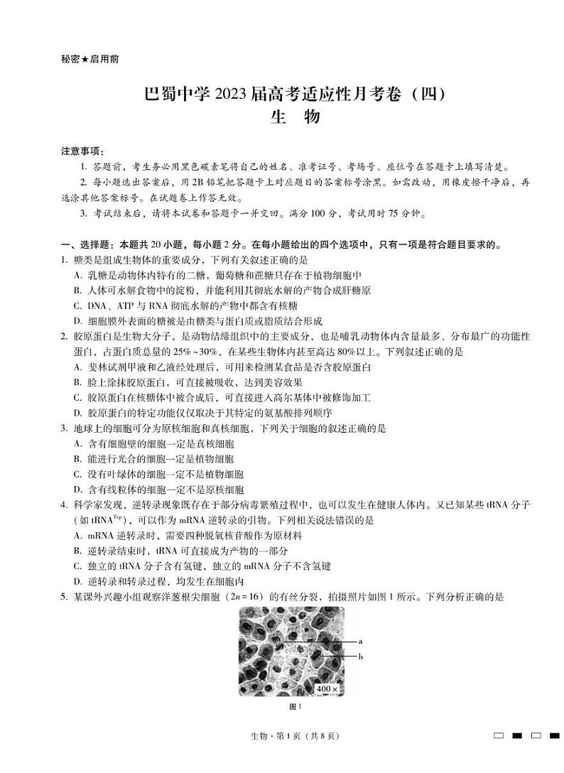 2023届重庆市巴蜀中学高三上学期高考适应性月考卷（四）生物试题 PDF版第1页