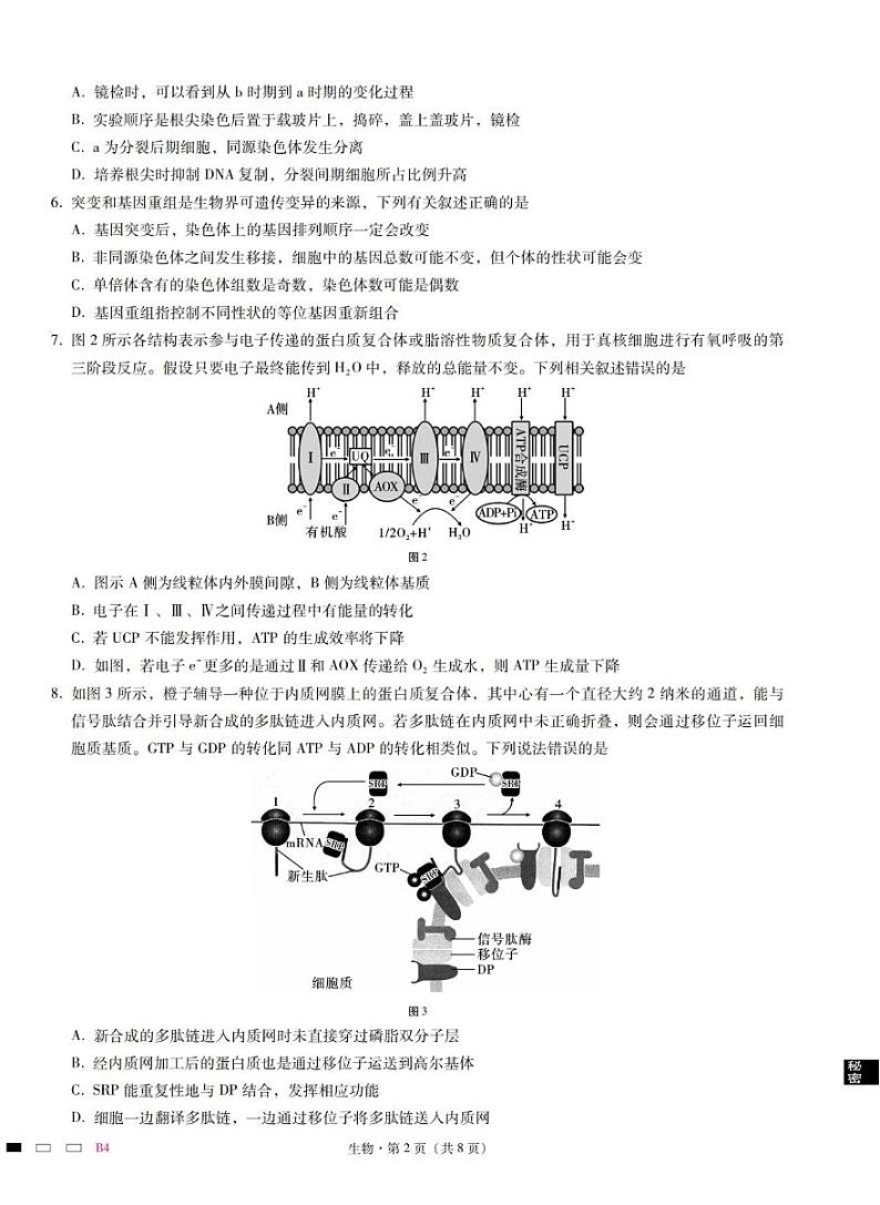 2023届重庆市巴蜀中学高三上学期高考适应性月考卷（四）生物试题 PDF版第2页