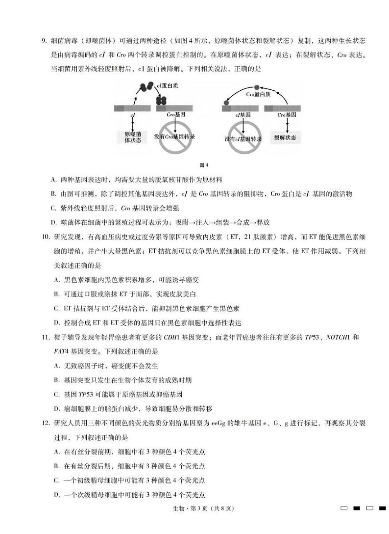 2023届重庆市巴蜀中学高三上学期高考适应性月考卷（四）生物试题 PDF版第3页