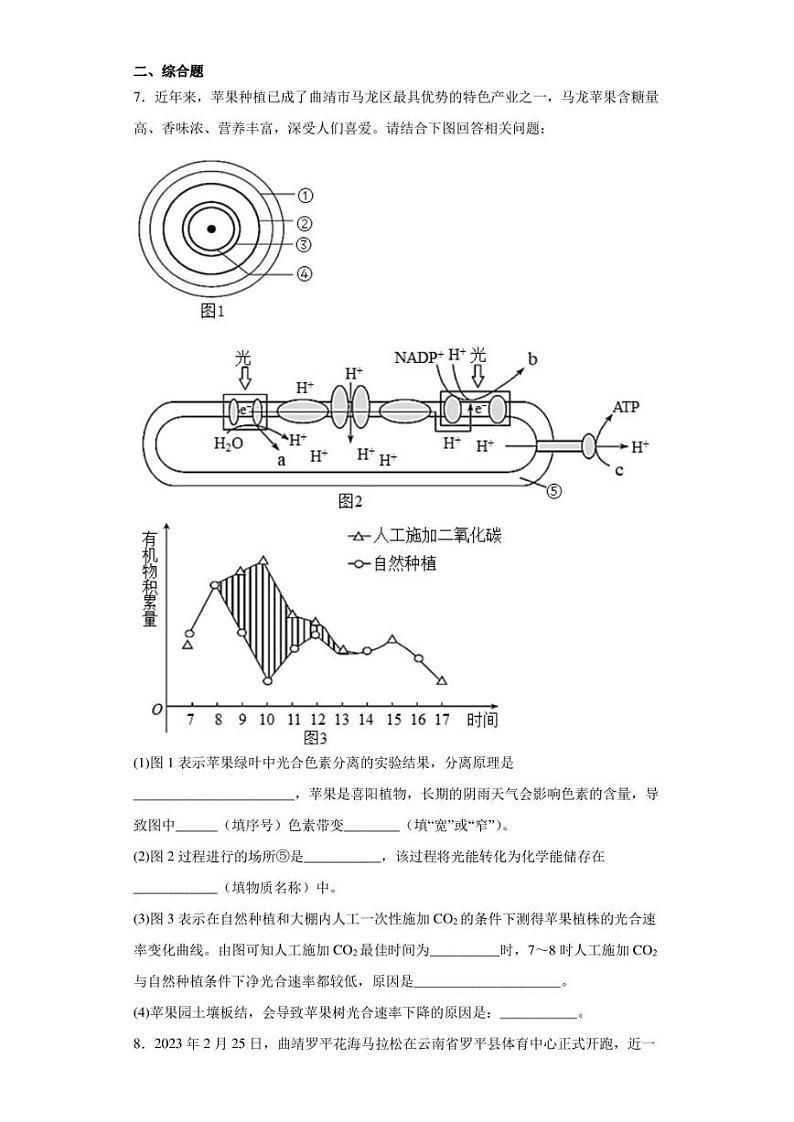 2023届云南省曲靖市二中联合体高三下学期第二次联考理综生物试题（含答案解析）03