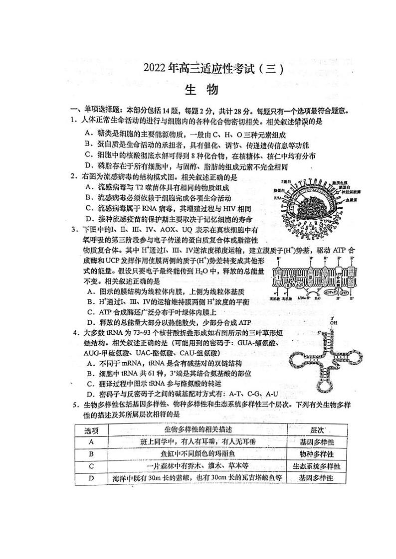 2022届江苏省如皋中学高三三模生物试卷01