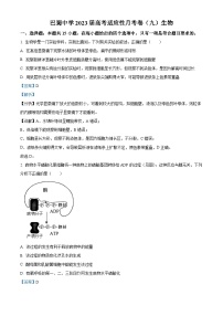 重庆市巴蜀中学2023届高三生物适应性月考卷（九）试题（Word版附解析）