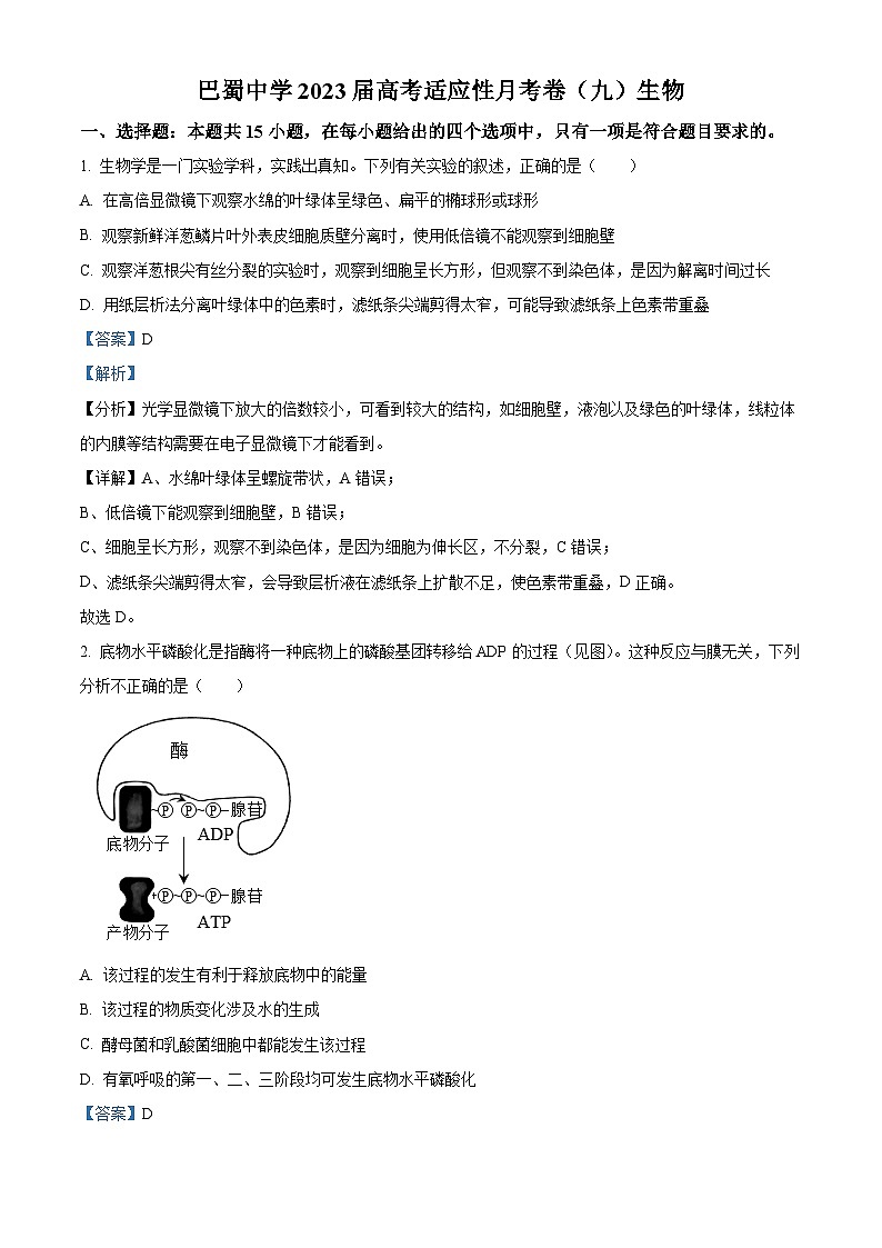 重庆市巴蜀中学2023届高三生物适应性月考卷（九）试题（Word版附解析）第1页
