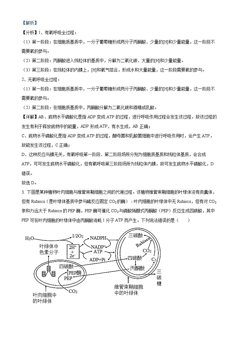 重庆市巴蜀中学2023届高三生物适应性月考卷（九）试题（Word版附解析）第2页