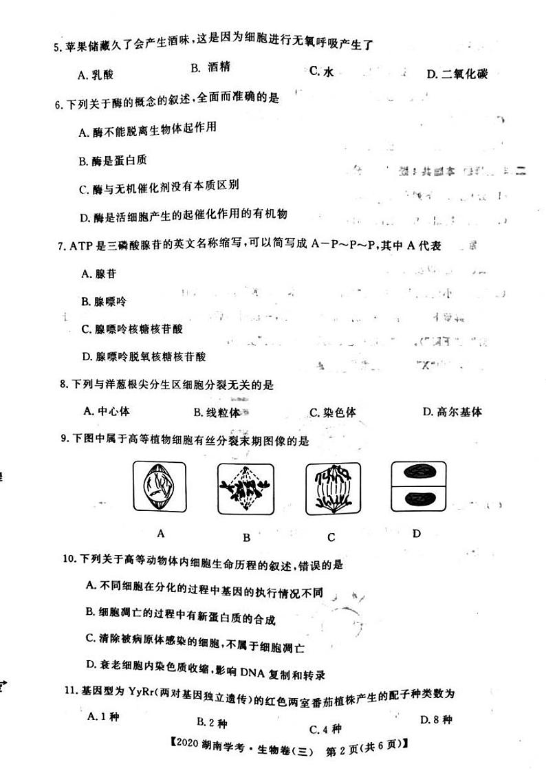 2020年湖南省普通高中学业水平合格性考试模拟信息卷三 生物 PDF版02
