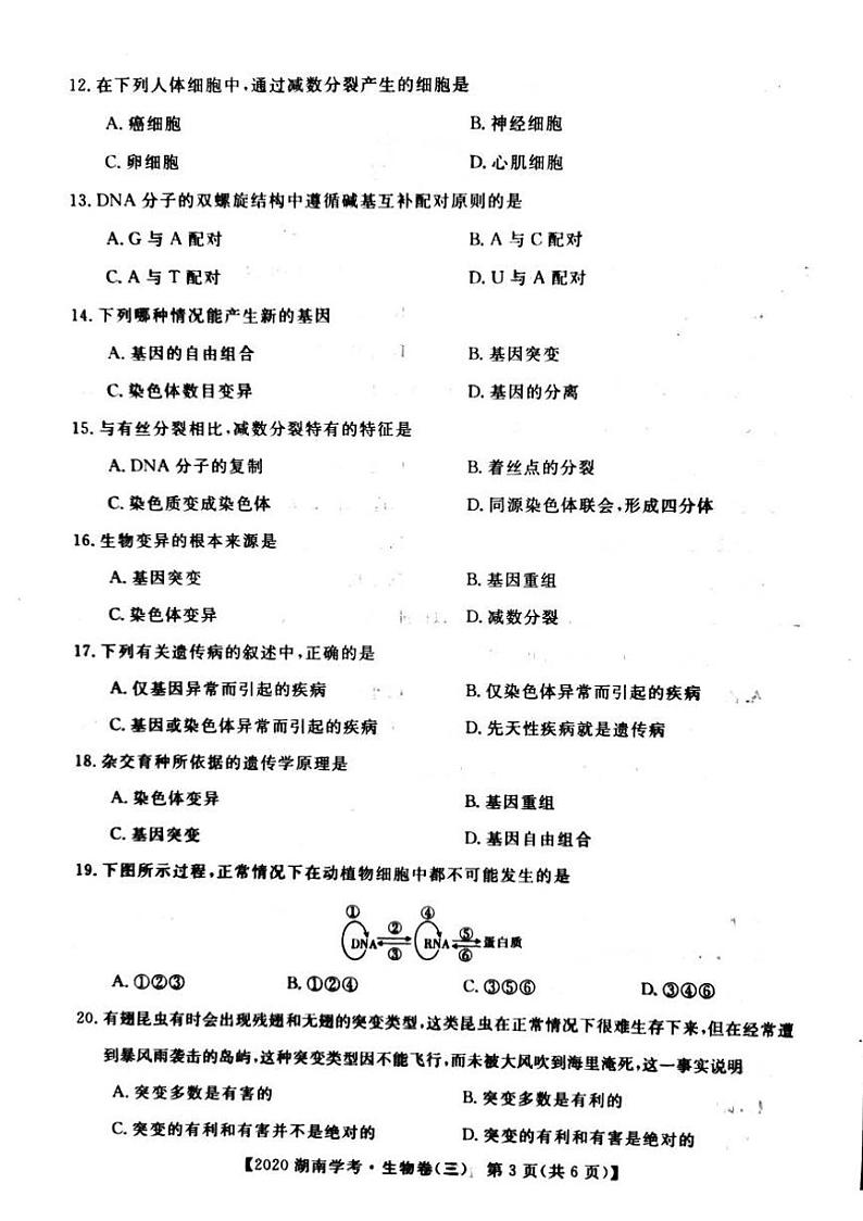 2020年湖南省普通高中学业水平合格性考试模拟信息卷三 生物 PDF版03