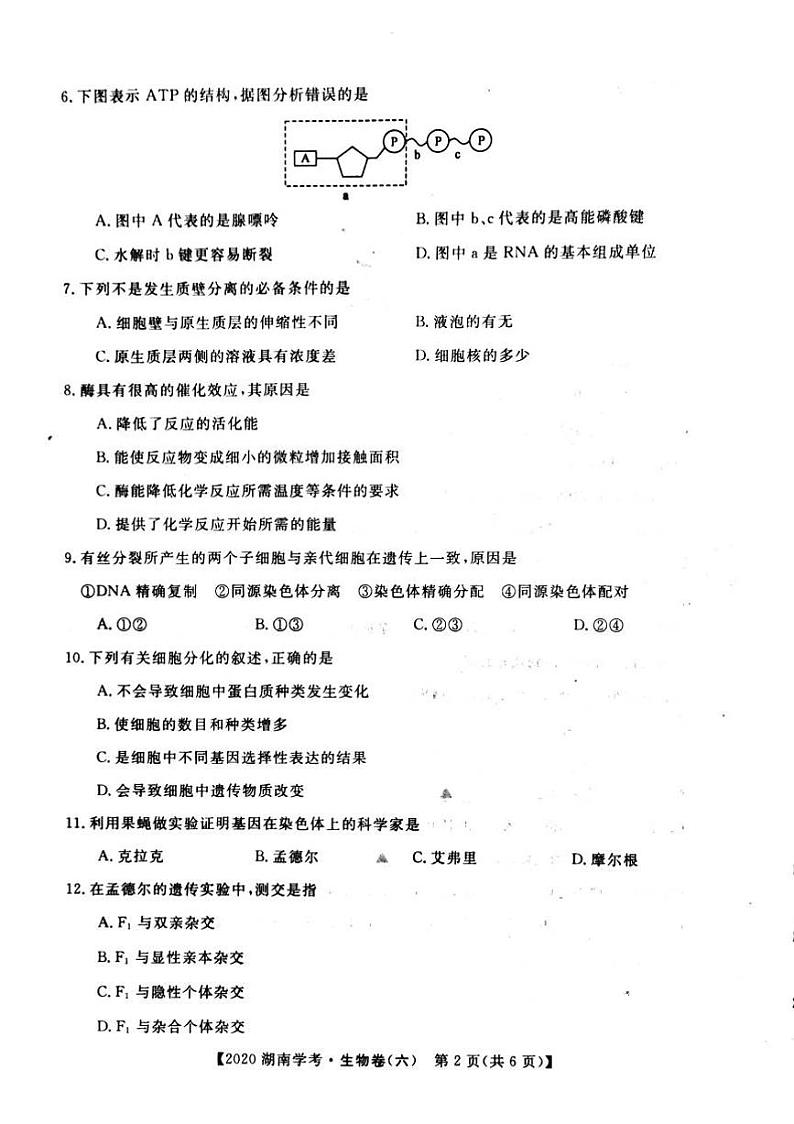2020年湖南省普通高中学业水平合格性考试模拟信息卷六   生物PDF版第2页