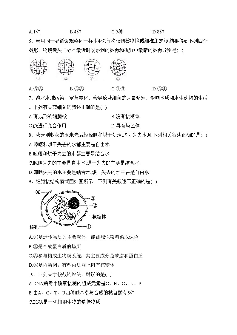 怀仁市第一中学校云东校区2022-2023学年高一下学期第一次月考生物试卷（含答案）第2页