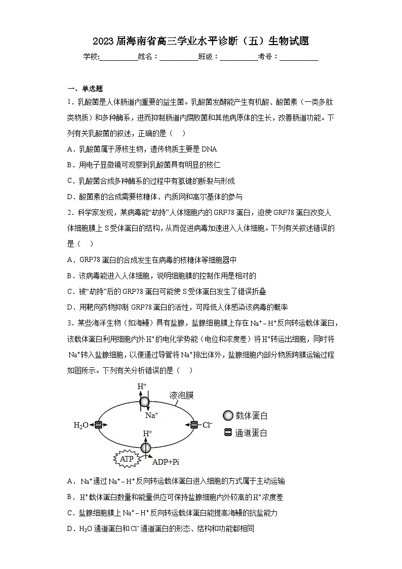 2023届海南省高三学业水平诊断（五）生物试题（含答案）01