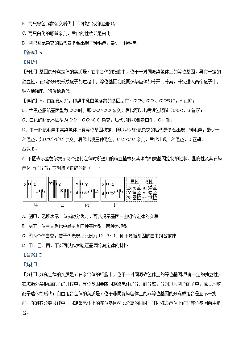 四川省绵阳南山中学2022-2023学年高一生物下学期期中试题 （Word版附解析）03