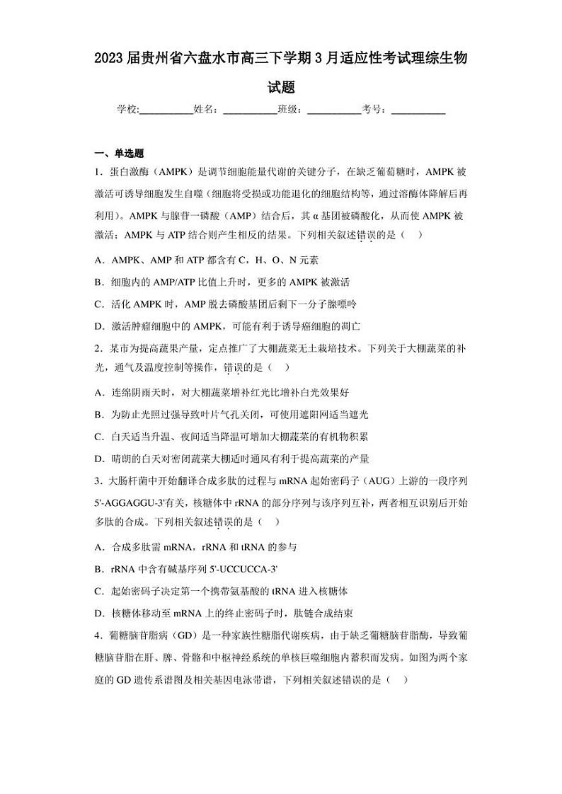 2023届贵州省六盘水市高三下学期3月适应性考试理综生物试题（含答案解析）第1页